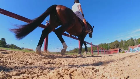 Slow Mo ground view of horse and rider passing in a paddock one sunny summer Stock Footage 148419607