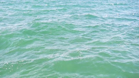 Slow mo gulls on the water surface Stock Footage 84763572
