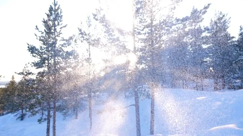 Slow mo heavy snowfall Stock Footage 89290119
