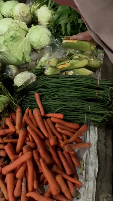 Slow mo high angle woman choosing fresh sweet corn at local vegetable market. Stock Footage 342578958
