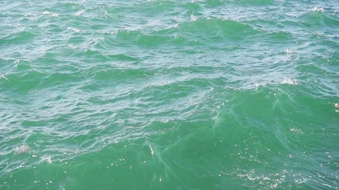 Slow mo leaf in coastal sea water Video stock 84763743