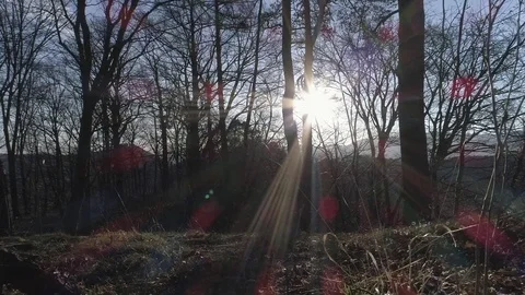 SLOW MO of leaves falling on the forest ground, creating a red lens flare, 4K Stock Footage 73830970
