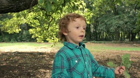 Slow-Mo: Little Boy Playing With Tree Branch In Woods Stock Footage 35297002