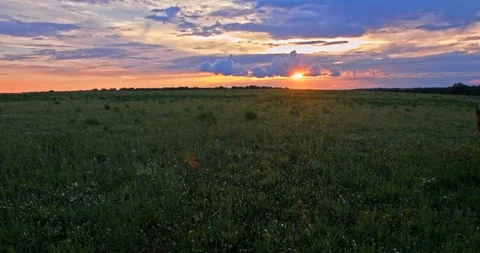 Slow-Mo Little Boy Runs Towards Sunset In Large Field Stock Footage 90879588
