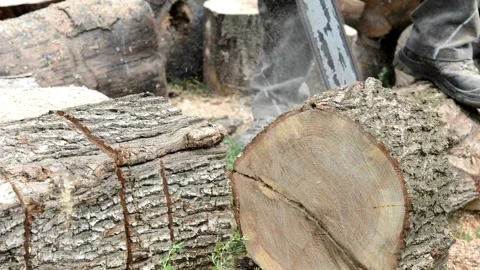 Slow-Mo: Logger Limbing A Tree Hard work harvesting firewood on a farm in the Stock Footage 336570443