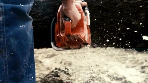 Slow-Mo: Logger Limbing A Tree Hard work harvesting firewood on a farm in the Stock Footage 336570536