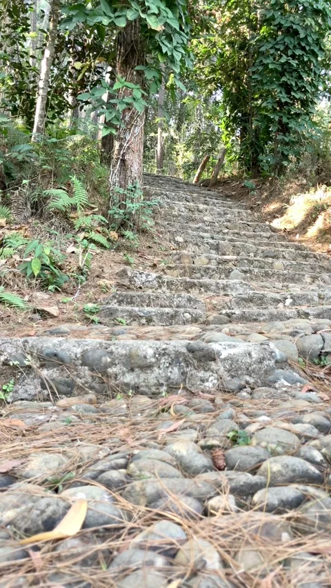 Slow mo low angle rear view of man with backpack running up stone stairway Stock Footage 341917110