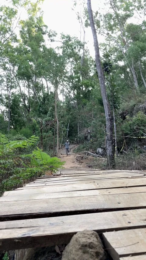 Slow mo man falling down on wooden forest bridge and limping away. Stock Footage 341915301