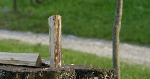 Slow Mo A Nice Sharp Axe Does The Trick Stock Footage 112365237