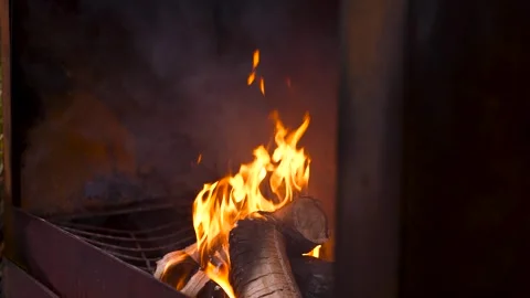 Slow-mo Outdoor Camp Fire Burning Round Wooden Logs in Rustic Metal Fire Pit Stock Footage 296718424