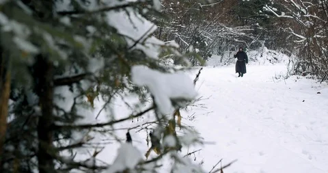 Slow Mo Reveal Taking A Stroll Through The Snow Stock Footage 112379398