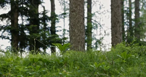 Slow Mo Running Keeps Me Fit And Healthy Stock Footage 112263591