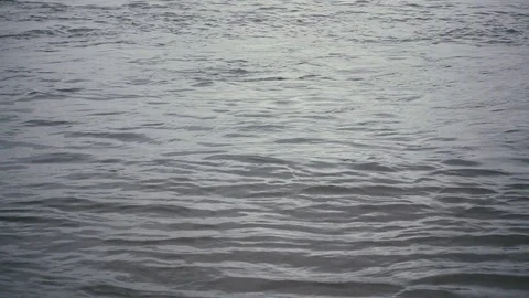Slow mo. Shallow ripples on the water surface Stock Footage 76518805