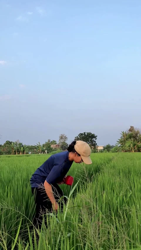 Slow mo side view woman bending down in green grass field preparing for workout. Stock Footage 342369282