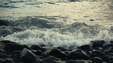 Slow mo a small wave rolls ashore Video stock 81401425