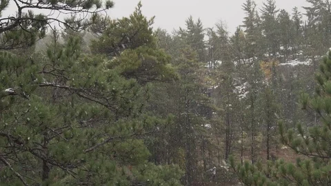 Slow mo snow falling Stock Footage 100137850