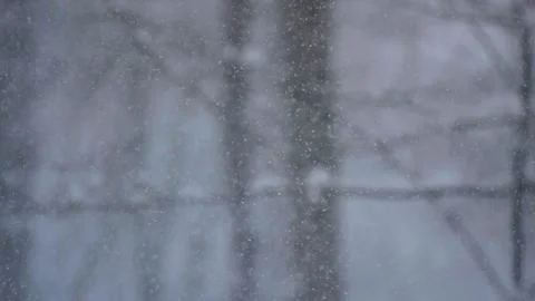 Slow Mo Snow Falling Snowflakes Winter Nature Stock-Footage 347925653