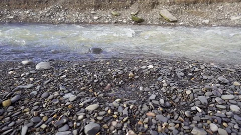 Slow mo stream, creek flows through the pebble bed Stock Footage 82617128