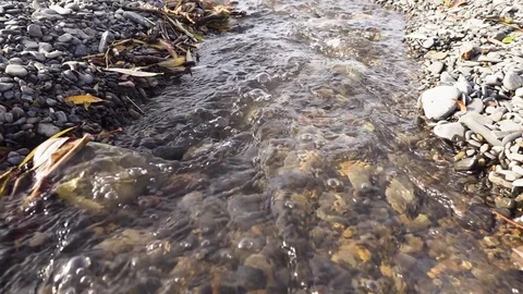 Slow mo stream flows along the pebble bed Stock Footage 82458737