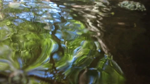 SLOW MO STREAM AT WATER LEVEL Stock Footage 194861116