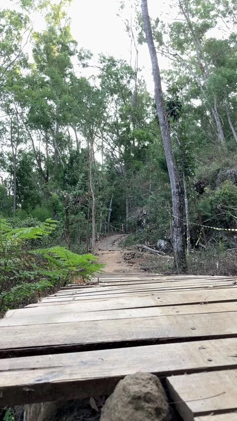 Slow mo vertical rear ground view of man in cap sprinting on wooden forest bridg 動画素材 341915218