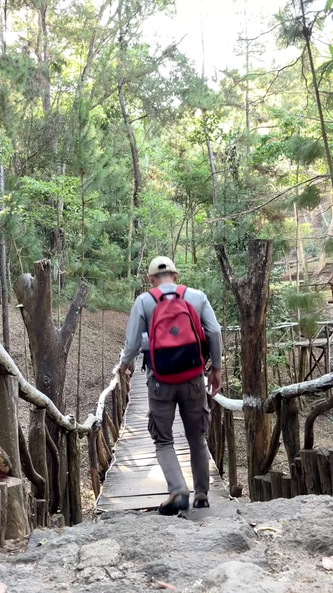 Slow mo vertical rear view of male hiker with backpack walking on wooden bridge 스톡 동영상 341916942