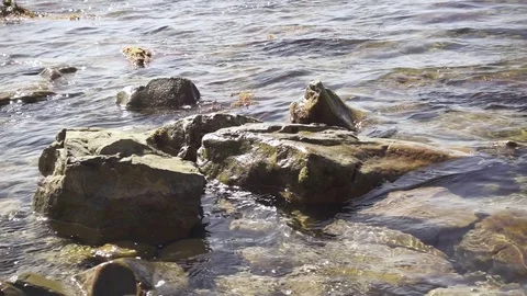 Slow mo the waves roll on the stony shore Stock Footage 80453024