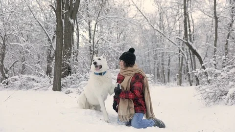 Slow-Mo: White Shepherd Dog Plays With Woman Stock Footage 124806345