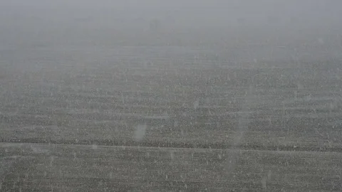 Slow monion, Snow falling in fields, winter background. Snowstorm, snowy weather Stock Footage 74920573