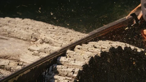 Slow motion 180fps: Closeup on Chainsaw cutting through a thick log with debris Stock Footage 91996711