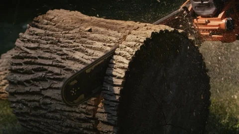 Slow motion 180fps: Large log is sliced in half via chainsaw Stock Footage 91999500