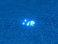 Slow Motion 240fps Water Surface 11 Ripples and Reflections 60 seconds Footage