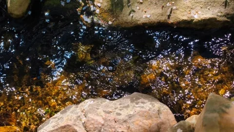 Slow motion 4K B-roll footage crystal clear waterfall sunlit rocky stream ripple Stock Footage 307431537