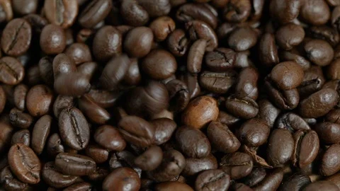 Slow motion 4k falling coffee beans on a pile of coffee. Stock Footage 104552550