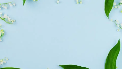 Slow motion 4k. small delicate fragile fresh white lily of the valley flowers Stock Footage 150393161