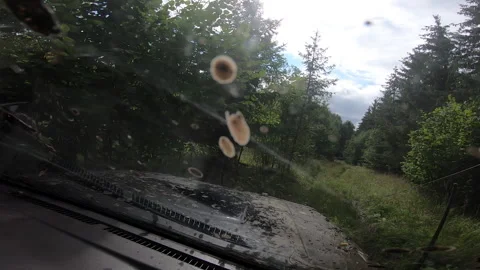 Slow Motion 50%  - View From Car to the muddy swamp with big water splash. Stock Footage 139966710