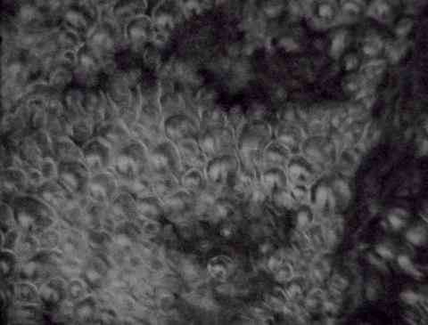 Slow motion, abstract closeup of a stream in winter (Super 8mm, Black and white 動画素材 254191465