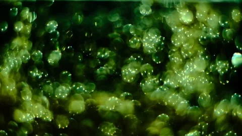 Slow motion of abstract sparkle on black background Stock Footage 239506473