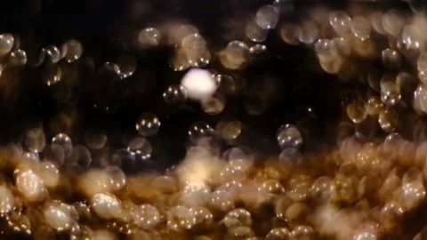 Slow motion of abstract sparkle on black background Stock Footage 239506486