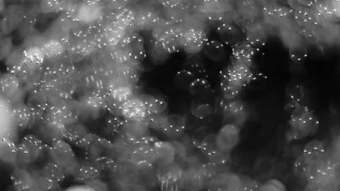 Slow motion of abstract sparkle on black background Stock Footage 239506492