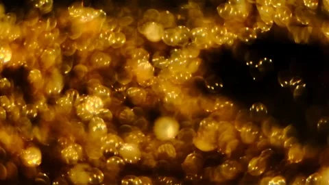 Slow motion of abstract sparkle on black background Stock Footage 239506498