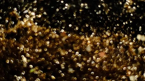 Slow motion of abstract sparkle on black background Stock Footage 239506516