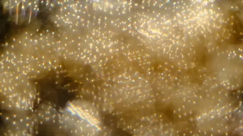 Slow motion of abstract sparkle on black background Stock Footage 239506524