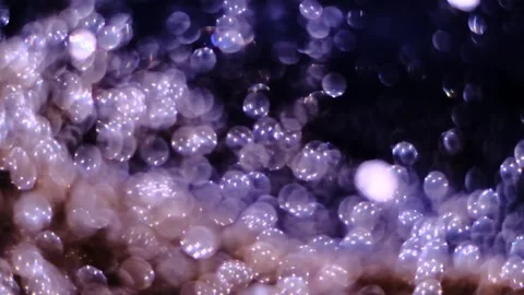 Slow motion of abstract sparkle on black background Stock Footage 239506526