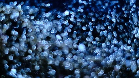 Slow motion of abstract sparkle on black background Stock Footage 239506534