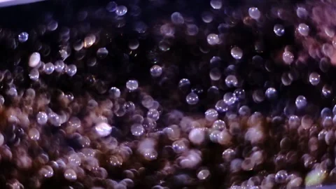 Slow motion of abstract sparkle on black background Stock Footage 239506542