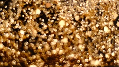 Slow motion of abstract sparkle on black background Stock Footage 239506553