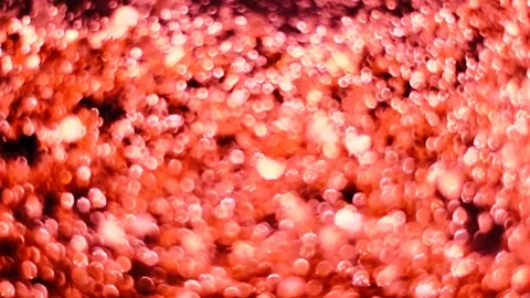 Slow motion of abstract sparkle on black background Stock Footage 239506564