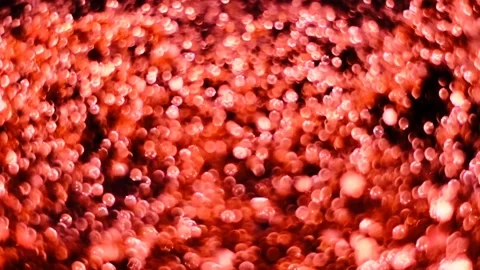 Slow motion of abstract sparkle on black background Stock Footage 239506566