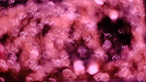 Slow motion of abstract sparkle on black background Stock Footage 239506571